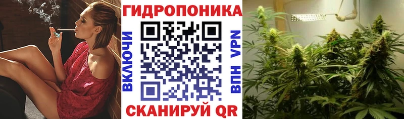 NBOMe Старица