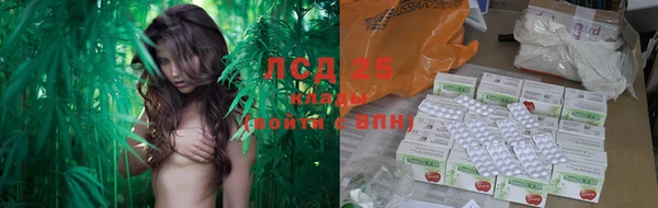 экстази Ельня