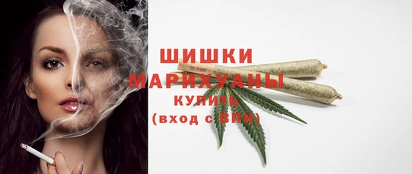 индика Дмитриев