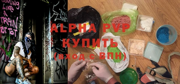 индика Дмитриев