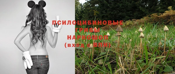 шишки Дмитровск