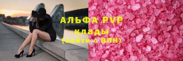 индика Дмитриев