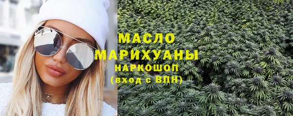 индика Дмитриев