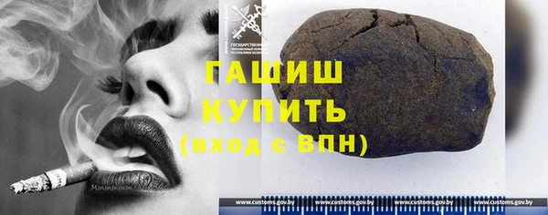 шишки Дмитровск
